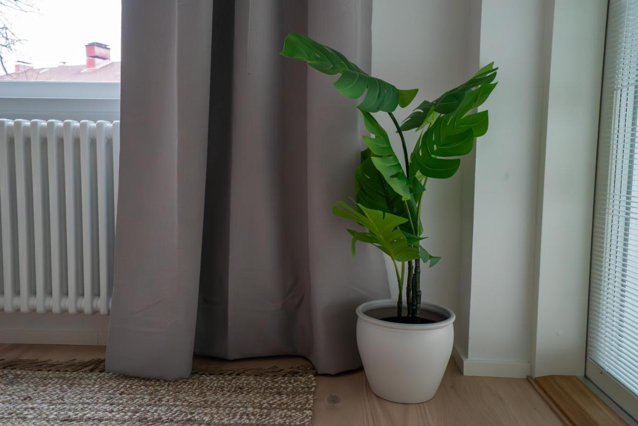 A New Apartment In Helsinki Extérieur photo